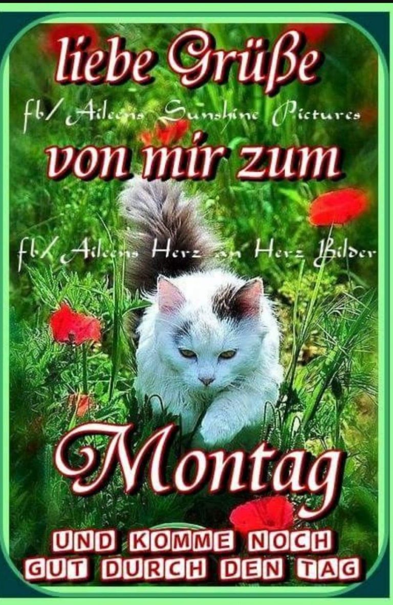 montag sprüche mit bilder
