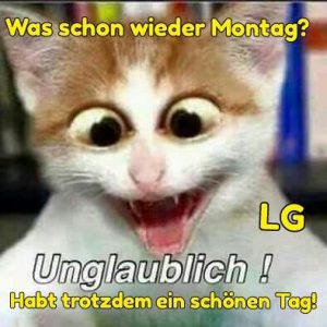 sprüche für den montag