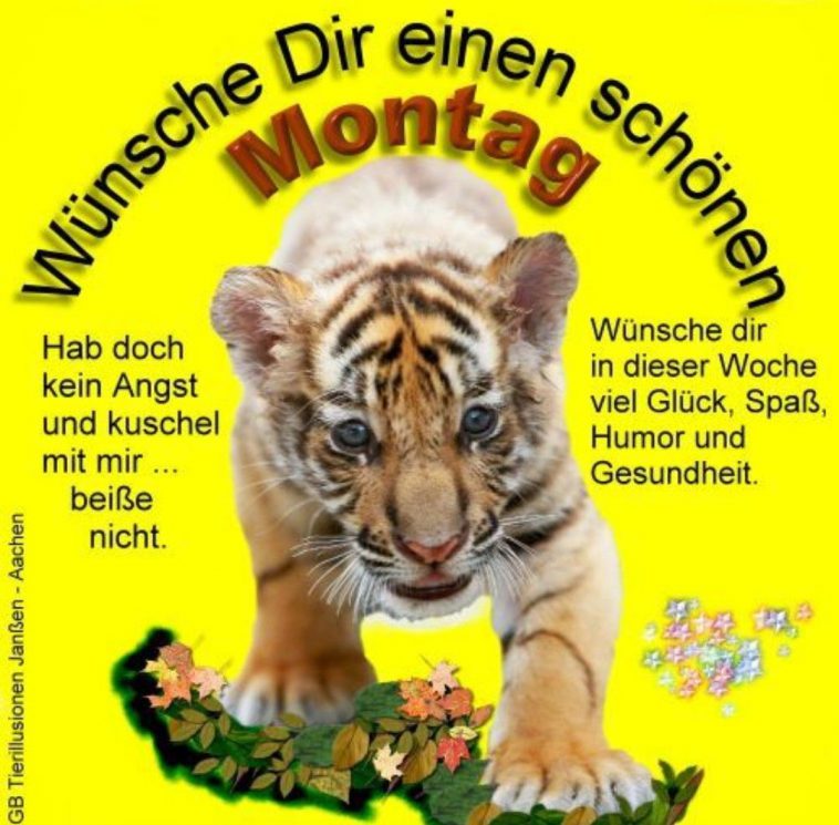 montag sprüche positiv Bilder und Sprüche für Whatsapp und Facebook