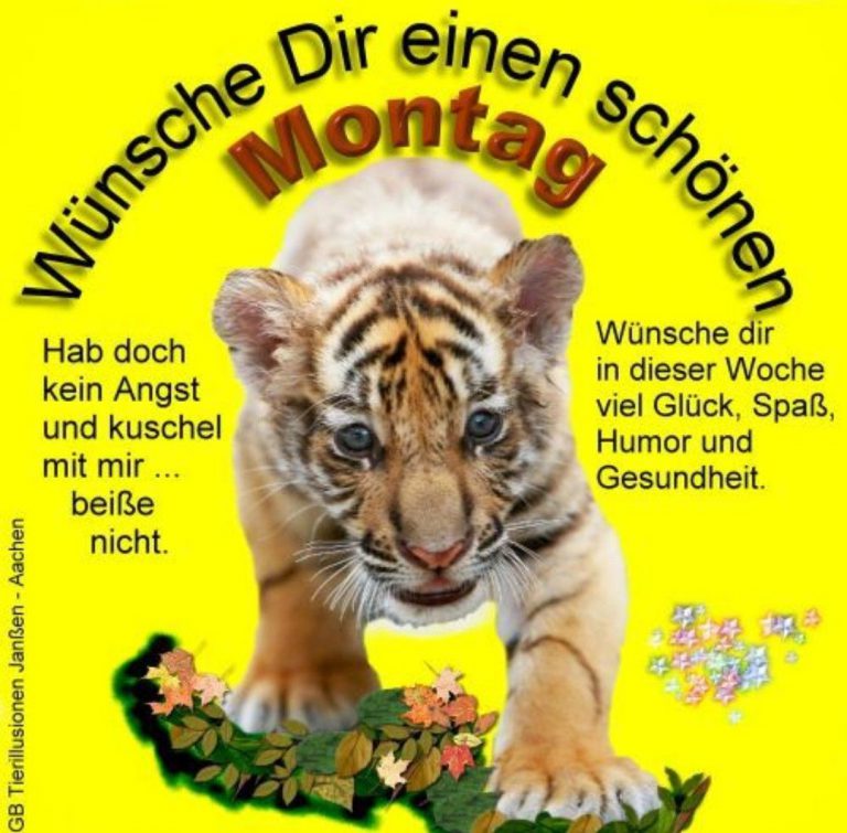 sprüche suche montag