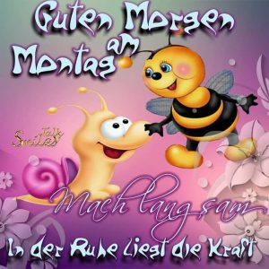 sprüche zum montag bilder fürs handy