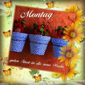 whatsapp sprüche montag bilder fürs handy