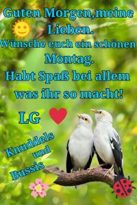 whatsapp status sprüche montag bilder fürs handy