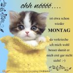 Animierte bilder guten morgen 150x150 - Guten morgen weihnachten