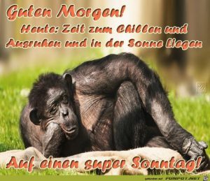 Bilder für den sonntag