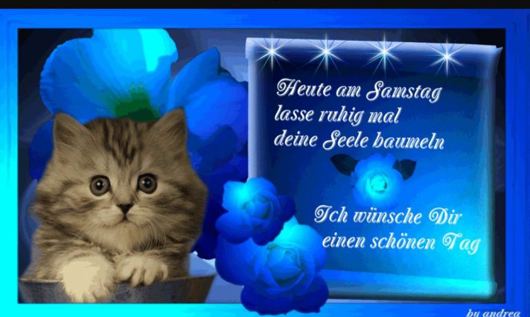Bilder und co samstag