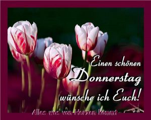 Bilder zu schönen donnerstag