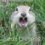 Dienstag faulenzen bilder 150x150 - Bilder und co dienstag