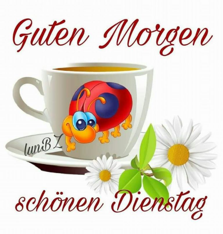 Dienstag schönen tag bilder