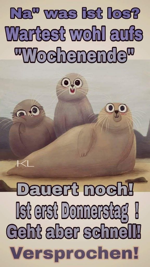 Donnerstag bilder lustig Bilder und Sprüche