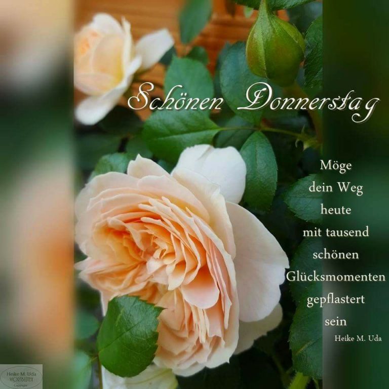 Donnerstag schönen tag