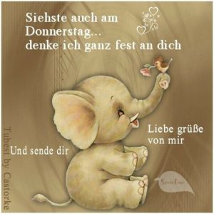 Dreamies schönen donnerstag abend