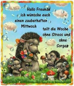 Dreamies schönen mittwoch