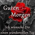 Ein lieber guten morgen gru%C3%9F 150x150 - Guten morgen mein süßer engel