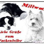 Einen sch%C3%B6nen mittwoch gif 150x150 - Schönen mittwoch dackel
