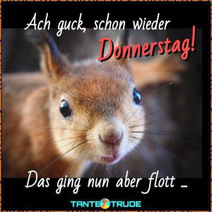 Einen schönen donnerstag lustig