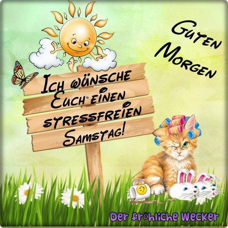 bilder lustig Bilder und Sprüche