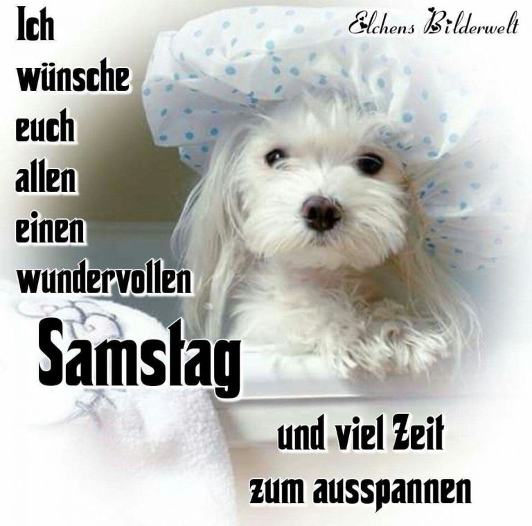 Endlich samstag bilder