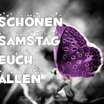 Es ist samstag bilder 150x150 - Schönen samstag tierbilder