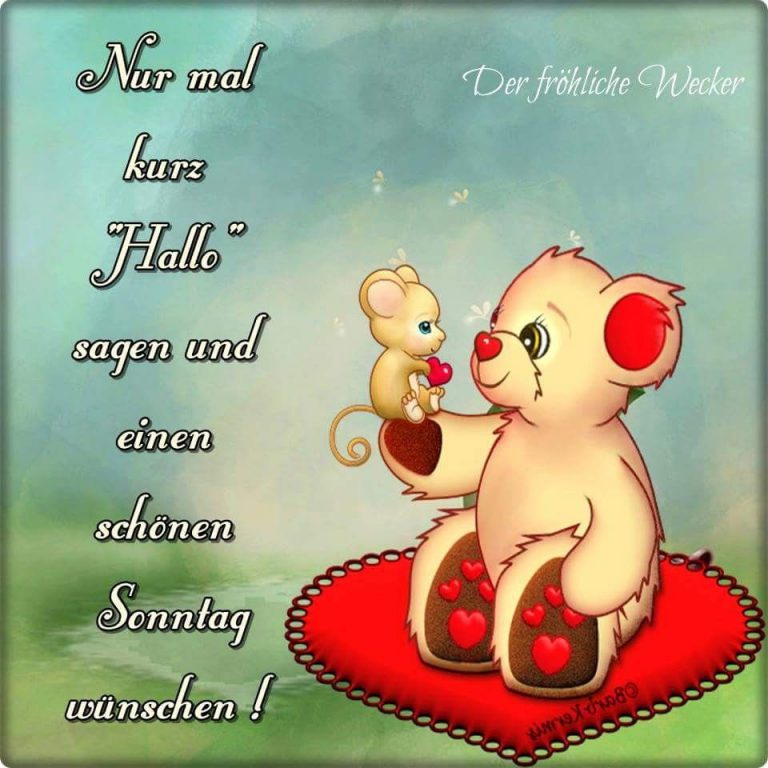 Fauler sonntag bilder