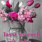 Foto sch%C3%B6nen sonntag 150x150 - Sonntag mittag lustig