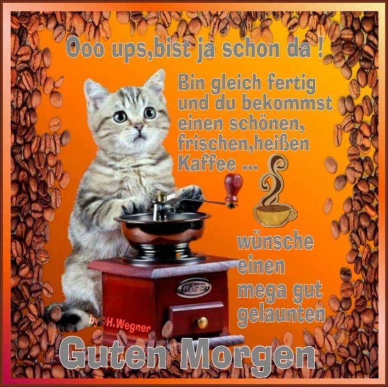 Gute bilder