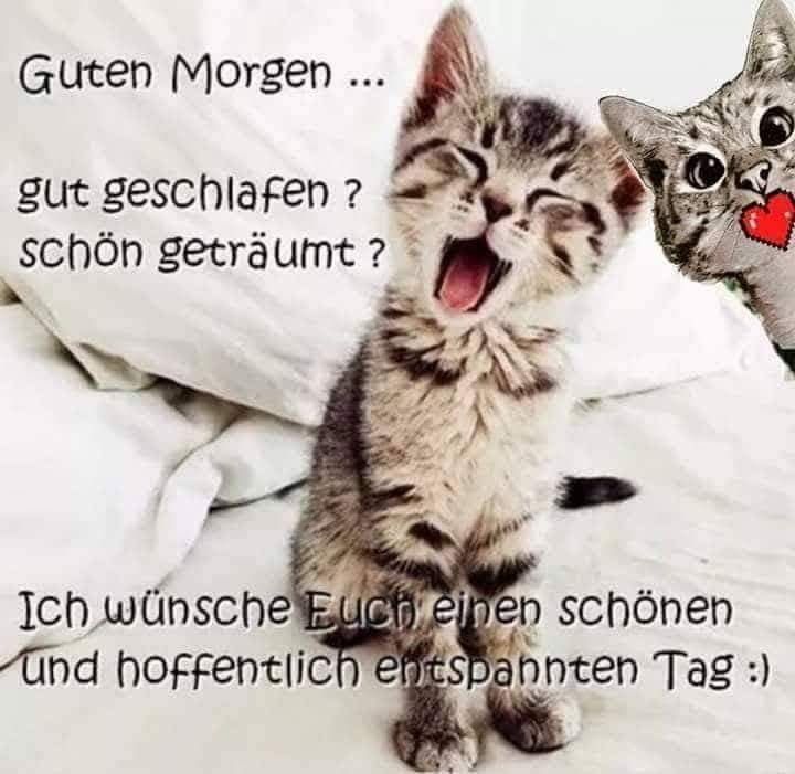 Wünsche einen schönen abend sprüche Bilder und Sprüche für Whatsapp