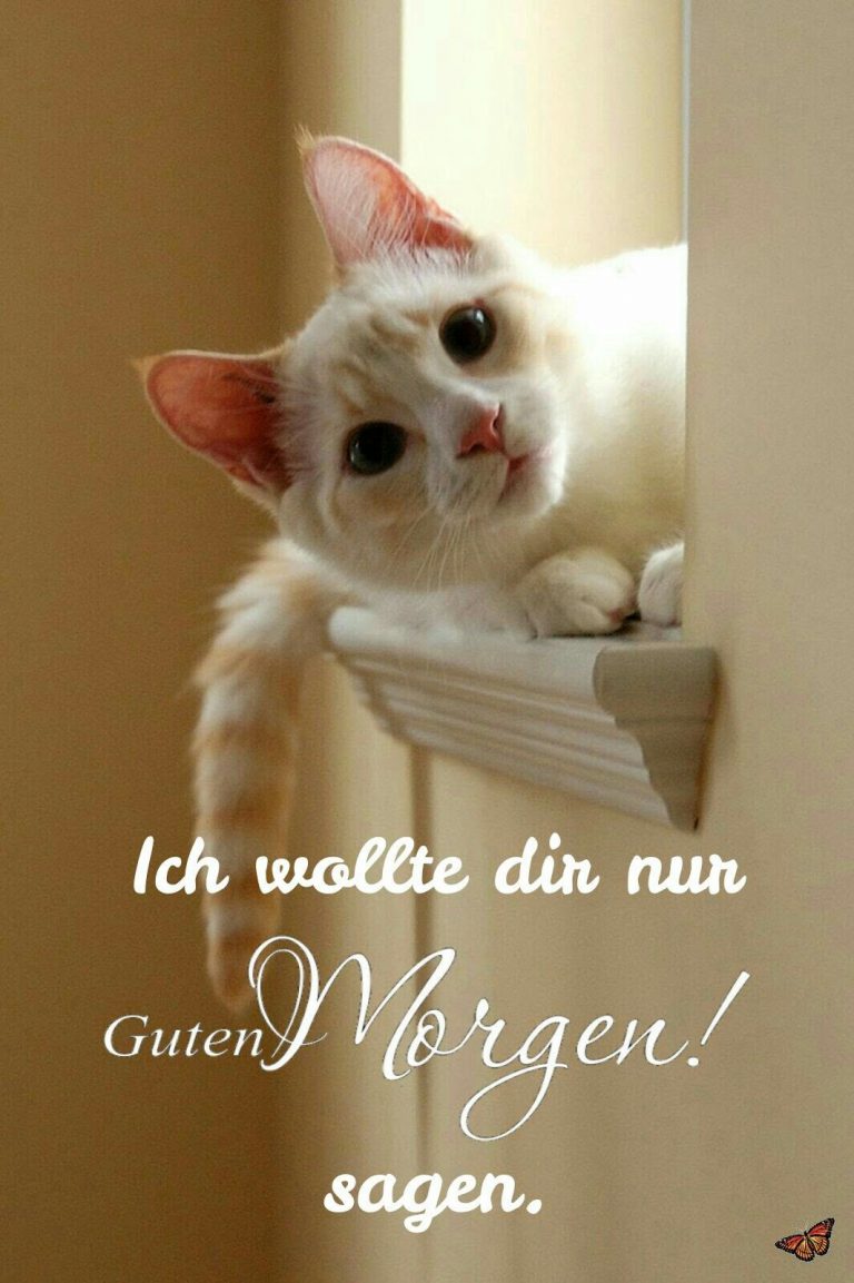 Smiley guten Bilder und Sprüche