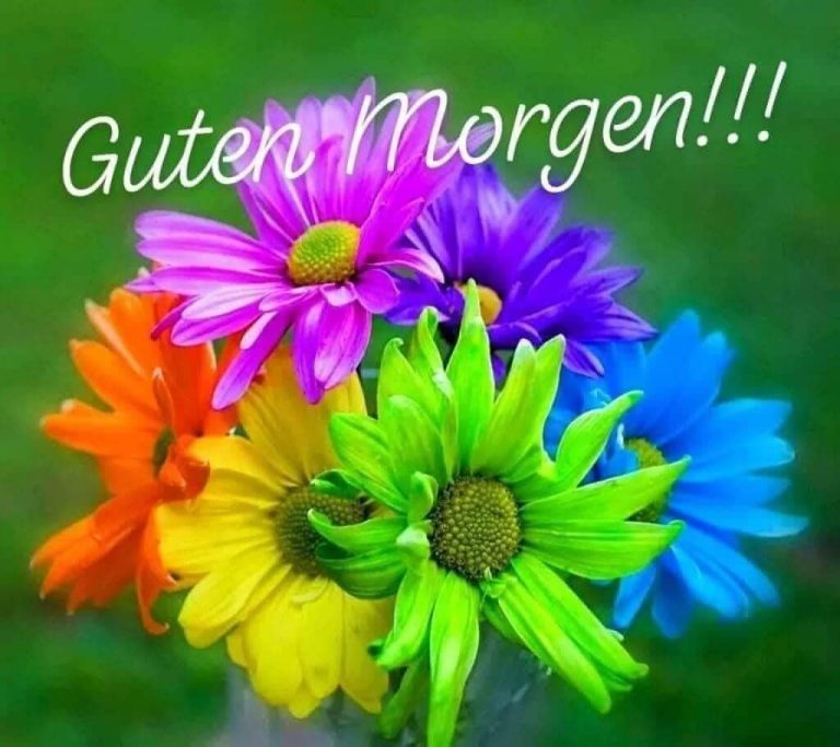Guten morgen brief an meinen schatz