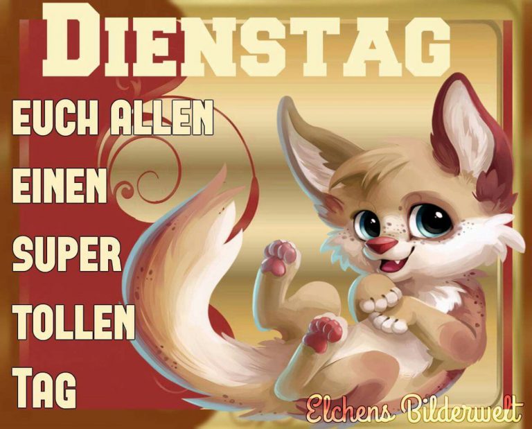 Guten morgen dienstag bilder kostenlos