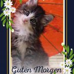 Guten morgen liebesgedicht 150x150 - Morgen sprüche