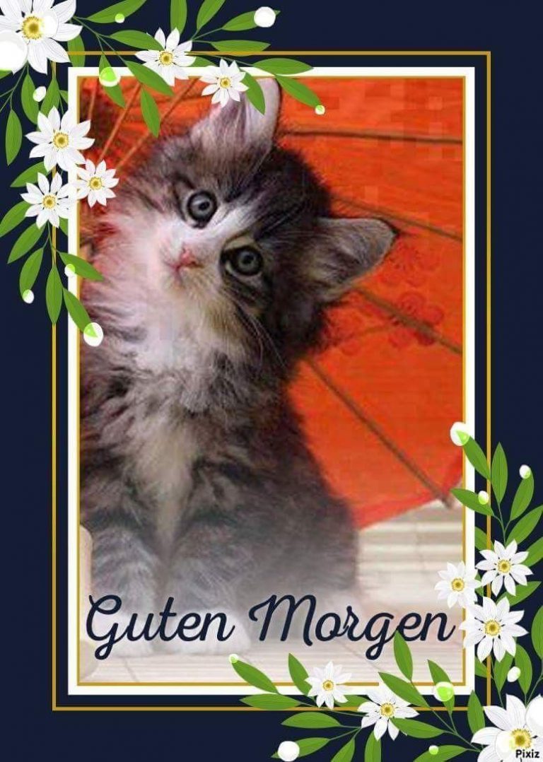 Guten morgen liebesgedicht