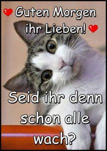 Guten morgen mail