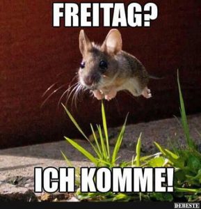 Guten kuscheln fürs Handy Bilder und Sprüche