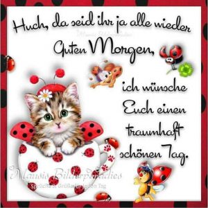 Guten morgen meine süße