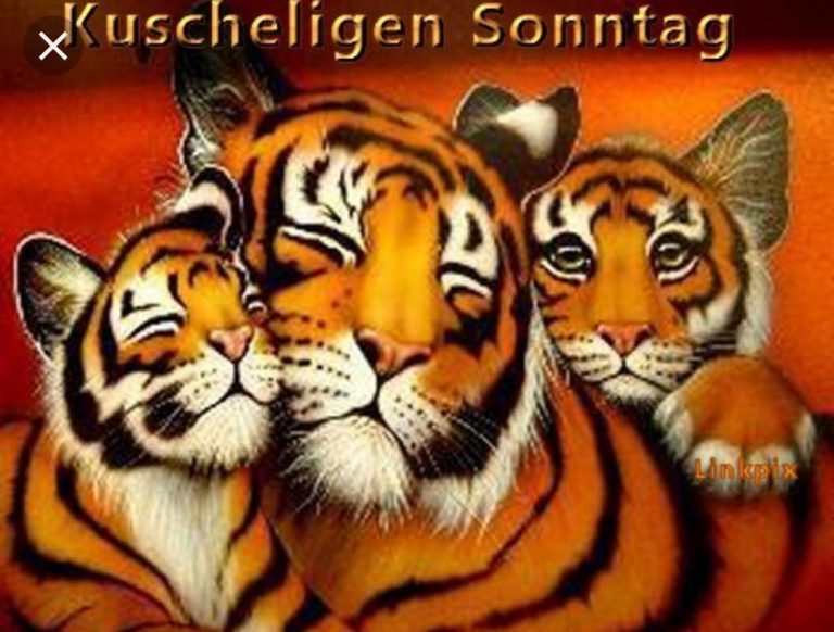 Guten morgen schönen sonntag