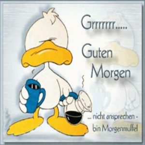 Guten morgen sms sprüche