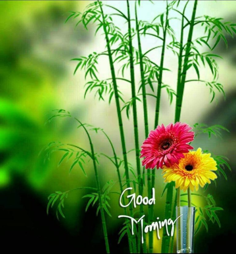 Guten morgen sweetheart