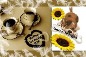 Guten morgen video download