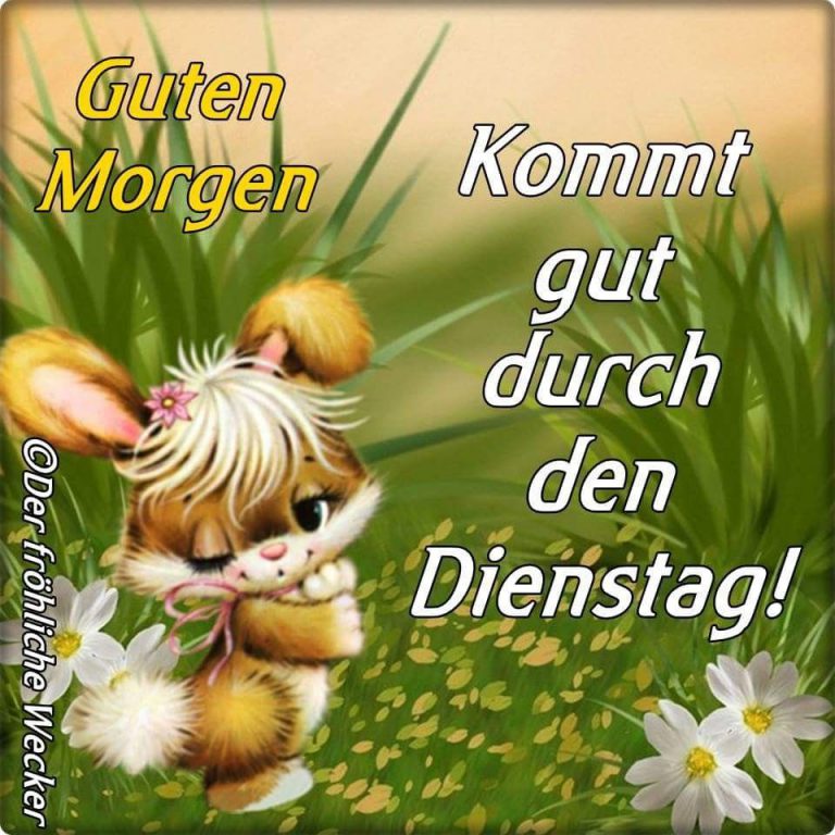 Schönen dienstag abend bilder Bilder und Sprüche