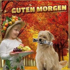 Heisse guten morgen sprüche
