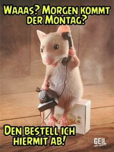 Heiße guten bilder Bilder und Sprüche