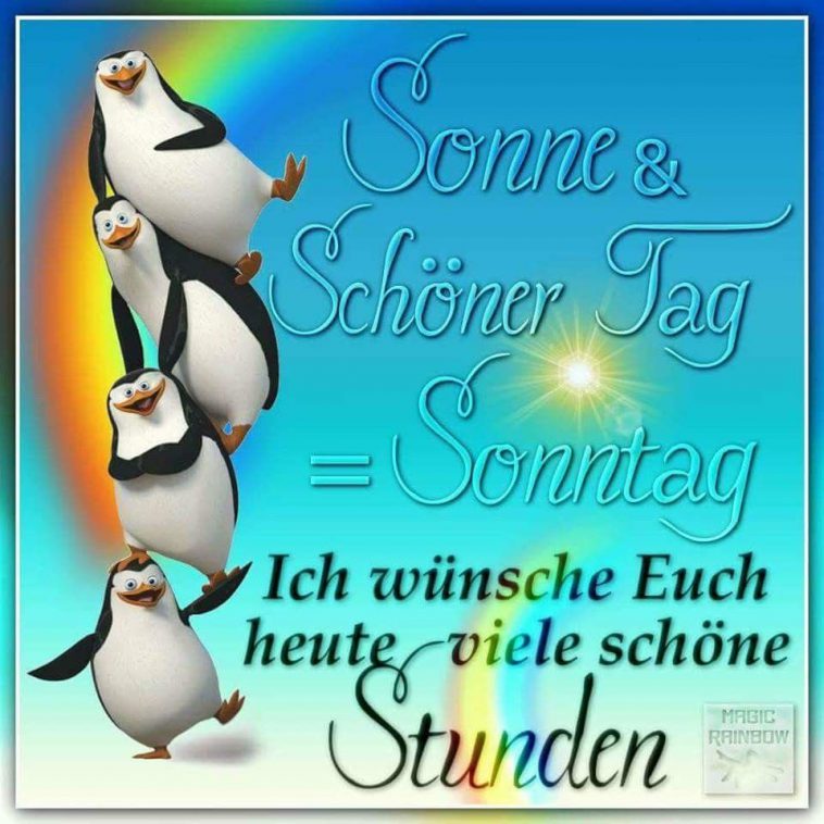 Sonntag bilder witzig Bilder und Sprüche für Whatsapp und Facebook