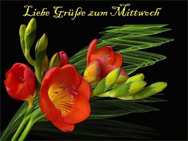 Lustig guten morgen mittwoch gif