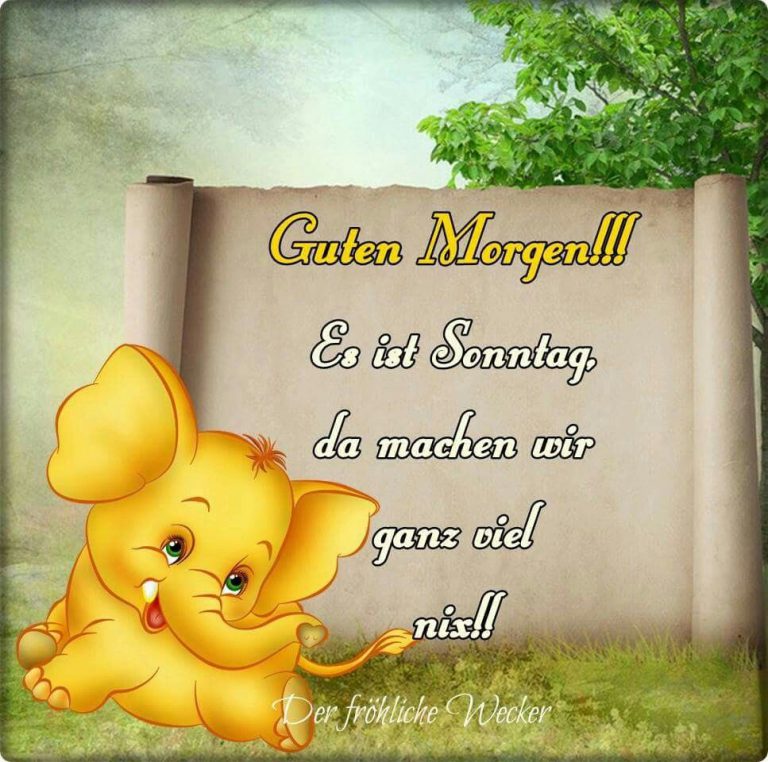 Lustig schönen sonntag bilder