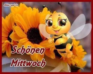 Lustig wunderschönen schönen mittwoch