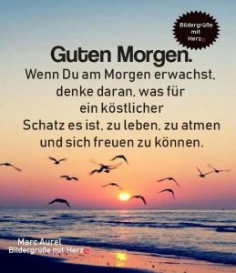 Lustige guten bilder für facebook Bilder und Sprüche
