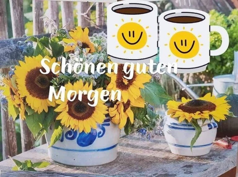 Guten lieber guten sonnenschein Bilder und