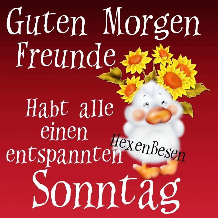 Lustige sonntag bilder kostenlos