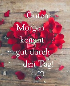 Lustige sprüche bilder guten morgen